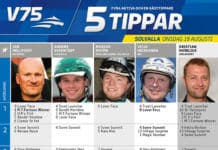 Fem tippar V75 Solvalla 19 augusti fem tippar v solvalla onsdag