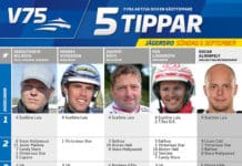 Fem tippar V75 till Derbysöndagen 2015 fem tippar v