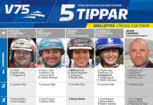Fem tippar V75 Skellefteå 3 oktober fem tippar v