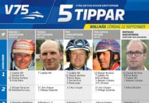Fem tippar V75 till Bollnäs 12 september fem tippar v bollnas