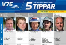 Fem tippar V75 till Solvalla 25 oktober fem tippar solvalla