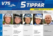 Fem tippar V75 till Örebro 17 oktober fem tippar v