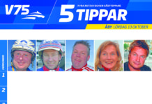 Fem tippar V75 till Åby 10 oktober fem tippar v