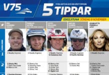 Fem tippar V75 Eskilstuna SÖNDAG! fem tippar v