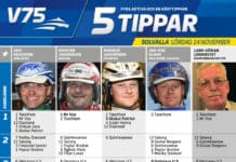 Fem tippar V75 Solvalla 14 november fem tippar v
