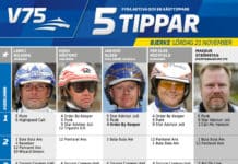 Fem tippar V75 till Bjerke 21 nov fem tippar v