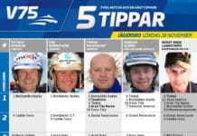 Fem tippar V75 till Jägersro 28 november fem tippar v