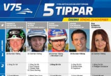 Fem tippar V75 till Örebro 29 nov fem tippar v