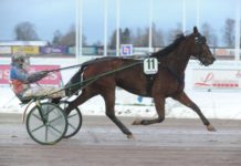 V86-favoriten gillar vintern! favorit vinter v