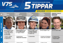 Fem tippar V75 till Lillejulafton fem tippar v