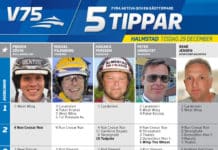 Fem tippar V75 till Halmstad 29 december fem tippar v