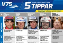 Fem tippar V75 till Mantorp 19 december fem tippar v