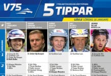 Fem tippar V75 till Gävle 16 januari fem tippar v
