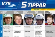 Fem tippar V75 Solvalla 31 januari fem tippar v