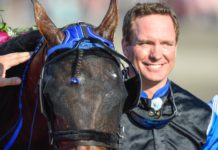 Nu kan du få 25 ggr pengarna på TIMOKO i försöket timoko