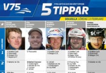 Fem tippar V75 till Solvalla 13 februari fem tippar v