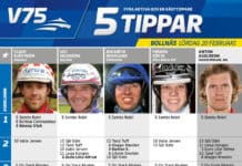 Fem tippar V75 till Bollnäs 20 februari fem tippar v