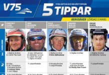 Fem tippar V75 till Bergsåker 5 mars 2016 femtipparbergsakermars