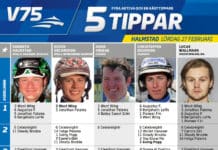 Fem tippar V75 till Halmstad 27 februari femtipparvhalmstadfebruari