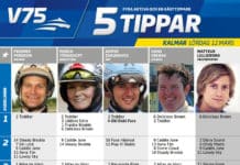 Fem tippar V75 till Kalmar 12 mars fem tippar v