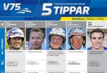 Fem tippar V75 till Solvalla 2 april 2016 fem tippar v