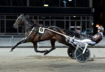 Propulsion jagar elitloppsbiljett i Finland elitloppsbiljett