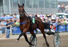 Elitloppsbiljett i sikte på V86 elitloppsbiljett i sikte