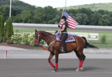 Hon ska fånga Elitloppsdeltagarna elitloppsdeltagarna