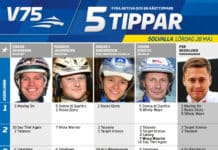 Fem tippar V75 Solvalla 28 maj 2016 fem-tippar-v75-solvalla-28-maj