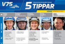 Fem tippar V75 till Vermo Söndag fem tippar
