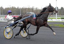 Imponerande genrep inför Elitloppshelgen genrep inför elitloppshelgen