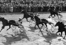 Elitloppsquiz elitloppsquiz