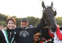 Oasis Bi har inte bråttom till Elitloppet Oasis Bi