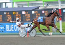 Ingen Magiker i Elitloppet magiker i elitloppet