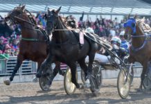 En ny Travkung i Elitloppet!