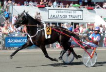 Presentation Elitloppet försök 1