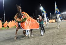 På lördag går Elitloppståget på lördag går elitloppståget