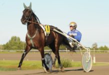 Tveksam till Elitloppet tveksam till elitloppet