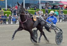 Your Highness stannar hemma… your highness elitloppet 2016