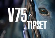 V75 & DD Tips till BJERKE 18 oktober 2025 v75 system