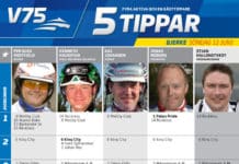 Fem tippar V75 till Bjerke 12 juni 2016 fem tippar v75 bjerke