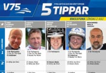 Fem tippar V75 till Eskilstuna 2 juli 2016 fem tippar v75 till eskilstuna 2 juli