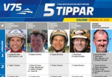 Fem tippar V75 till Kalmar 26 juni 2016 fem tippar v75 till kalmar 26 juni 2016