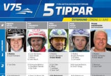 Fem tippar V75 till Östersund 11 juni 2016