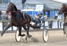 Uncle Lasse kanonfin inför V86 uncle lasse