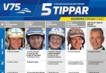 Fem tippar V75 till Halmstad 7 juli 2016 fem tippar v75 halmstad 7 juli