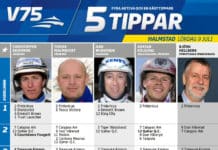 Fem tippar V75 till Halmstad 9 juli 2016 fem tippar v75