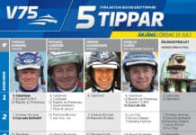Fem tippar V75 till Årjäng 16 juli 2016 fem tippar v75