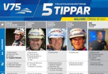 Fem tippar V75 till Bollnäs 30 juli 2016 fem tippar v75 bollnäs