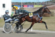 Per Lennartsson inför V86 Eskilstuna v86 eskilstuna